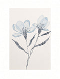 Soft Blue Blooms – Original Watercolor