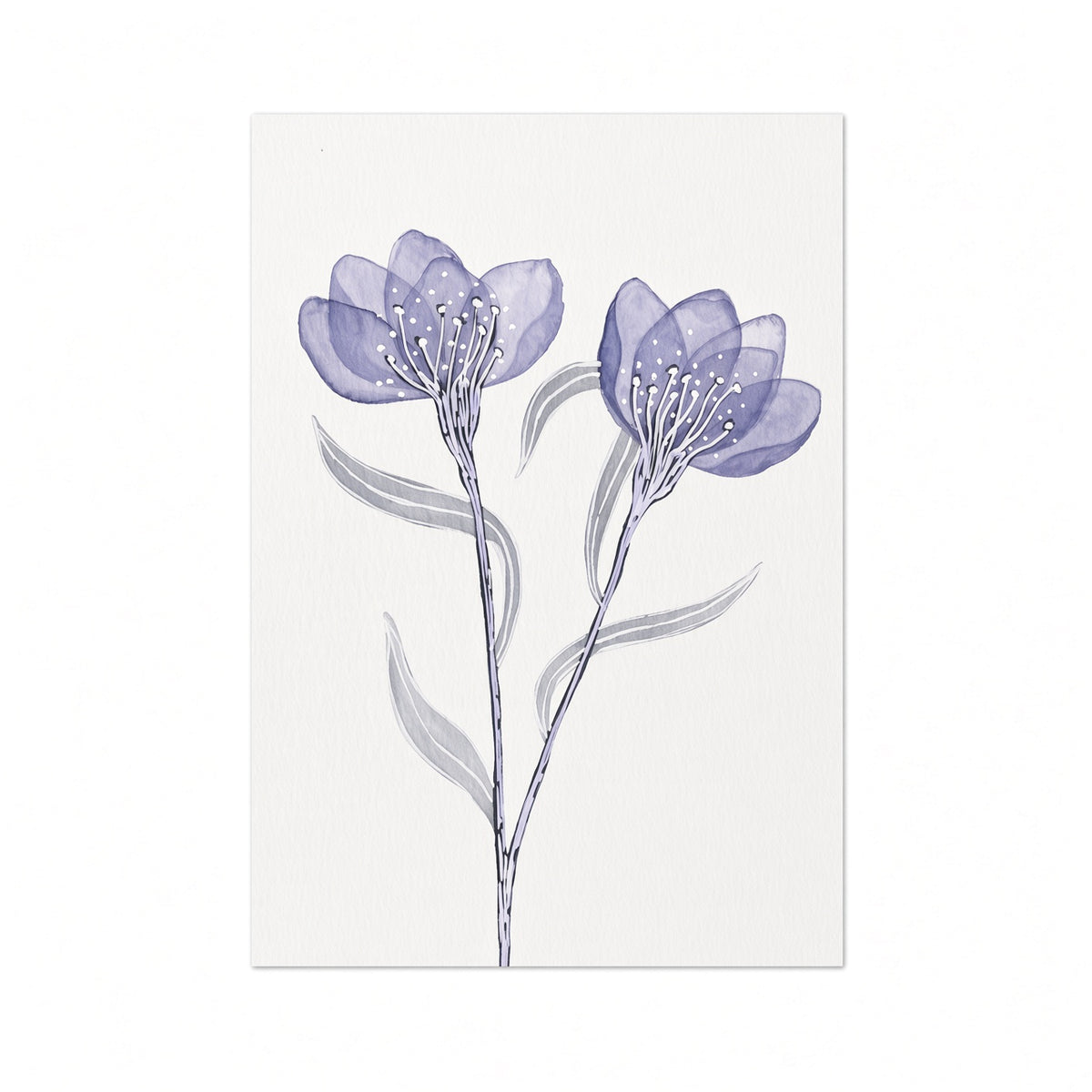 Two Purple Blooms – Original Watercolor Painting